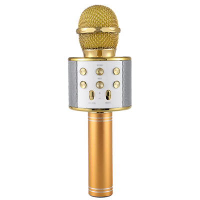 Karaoke mikrofonu WSTER 858