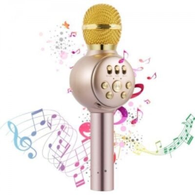 Karaoke mikrofonu MD-02